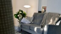 Sunlight streaming into a modern apartment living room with sheer curtains and a potted plant, illustrating better morning light habits for apartments.