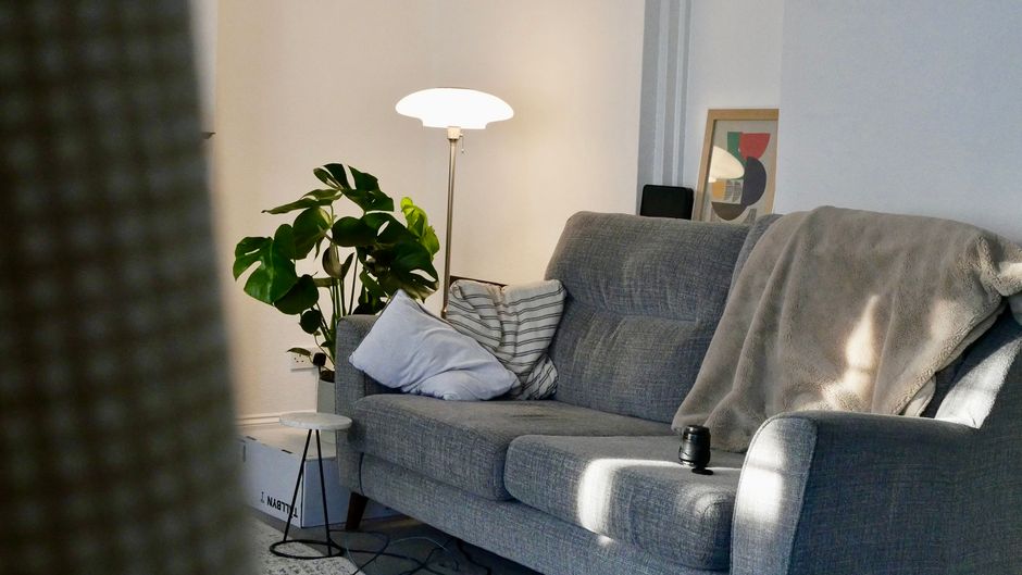 Sunlight streaming into a modern apartment living room with sheer curtains and a potted plant, illustrating better morning light habits for apartments.