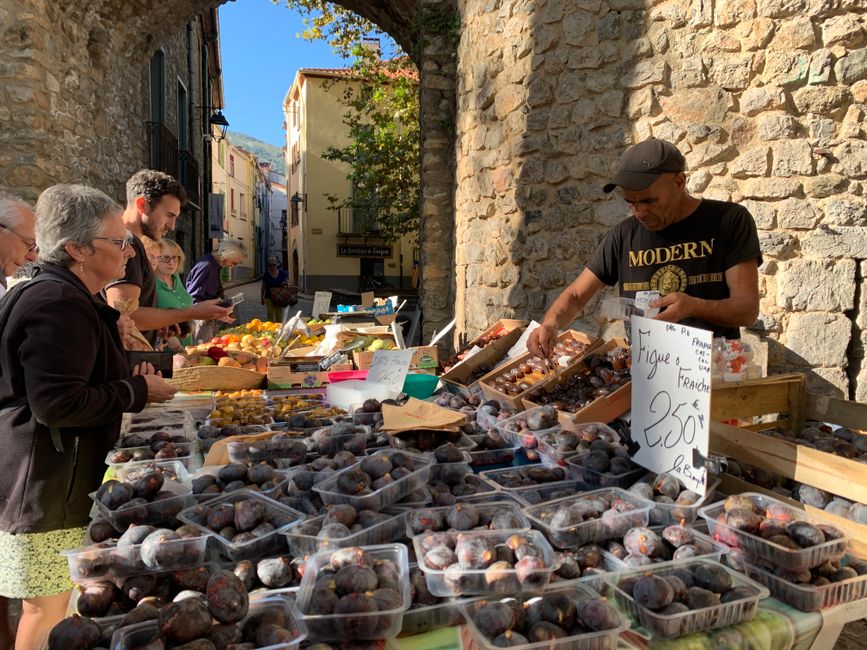 A French market scene with a vendor arranging fresh vegetables, talking to a customer.