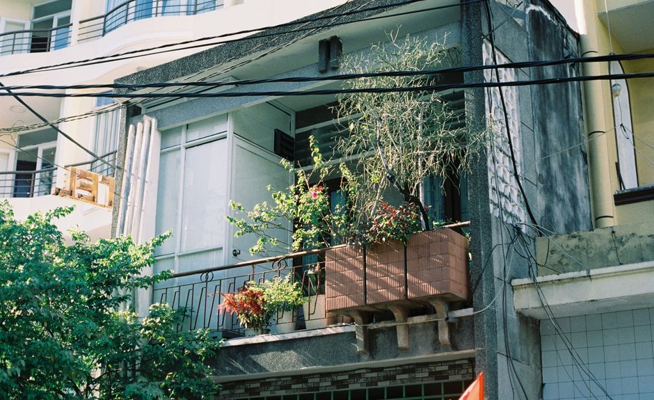 A small, inviting apartment balcony with lush green plants and a glimpse of a city skyline, offering a space for morning light and fresh air.