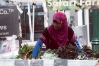 A woman in a stylish yet comfortable weekend market outfit, browsing fresh produce at an outdoor market.