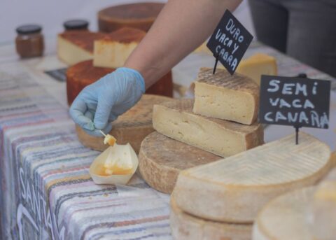 A woman in a specialty cheese shop in Montreal sampling a small piece of artisanal cheese from a friendly vendor, with various cheeses displayed behind them.